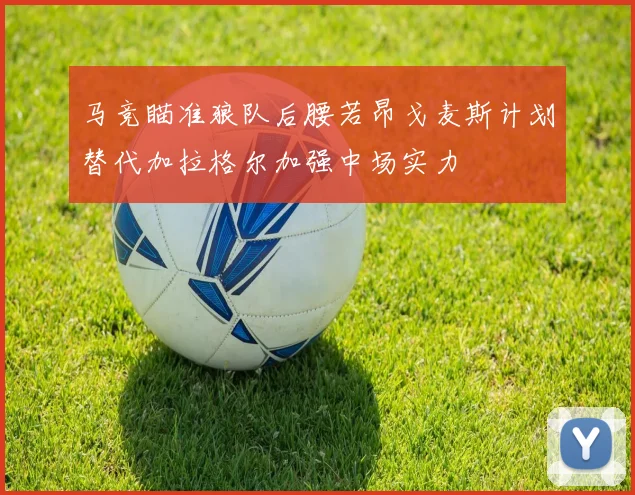 马竞瞄准狼队后腰若昂戈麦斯计划替代加拉格尔加强中场实力