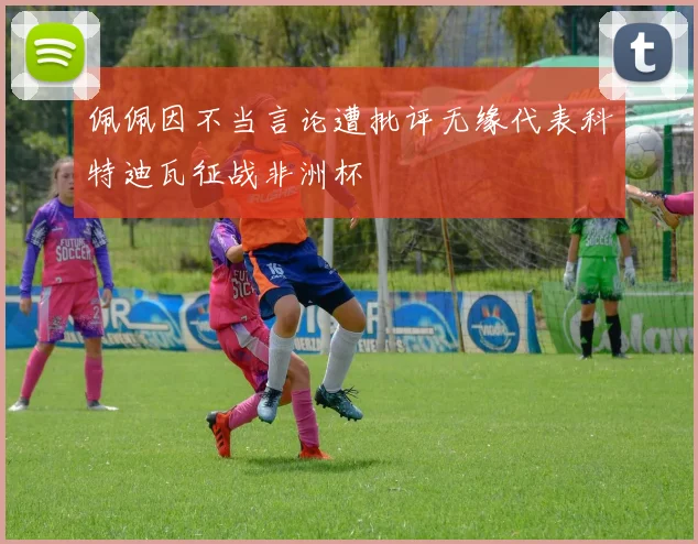 佩佩因不当言论遭批评无缘代表科特迪瓦征战非洲杯