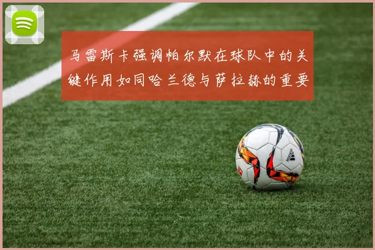 马雷斯卡强调帕尔默在球队中的关键作用如同哈兰德与萨拉赫的重要性